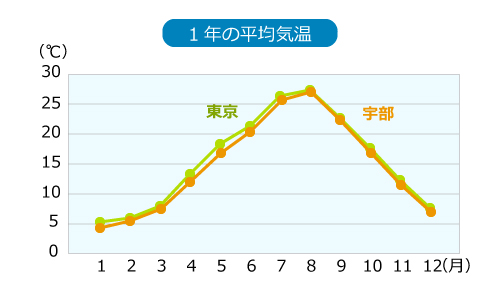 宇部1年の平均気温